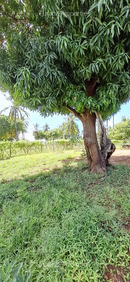 Land at Kilifi Tezo - 8