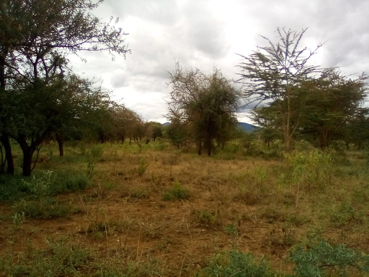 Land at Namanga Rd - 15