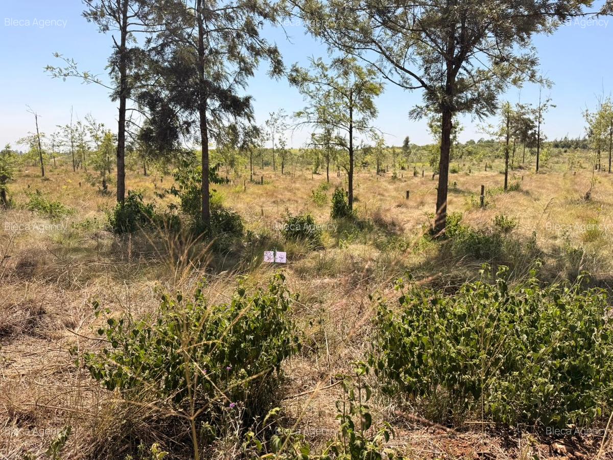 0.50 ac Commercial Property at Ruiru-Githunguri Road - 7