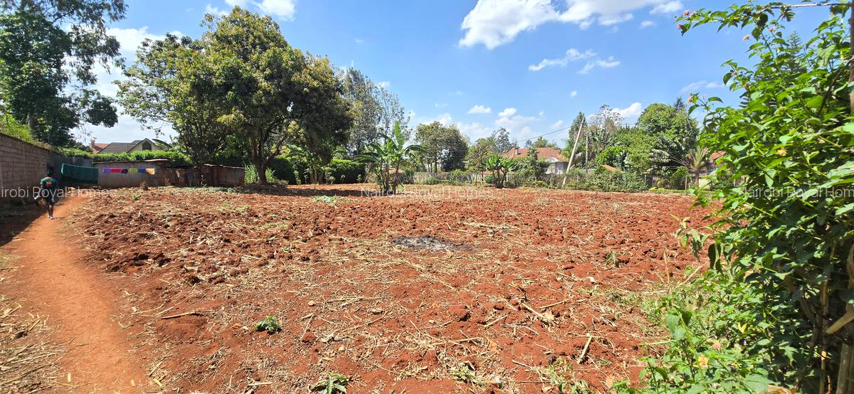 Residential Land at Runda Road - 16