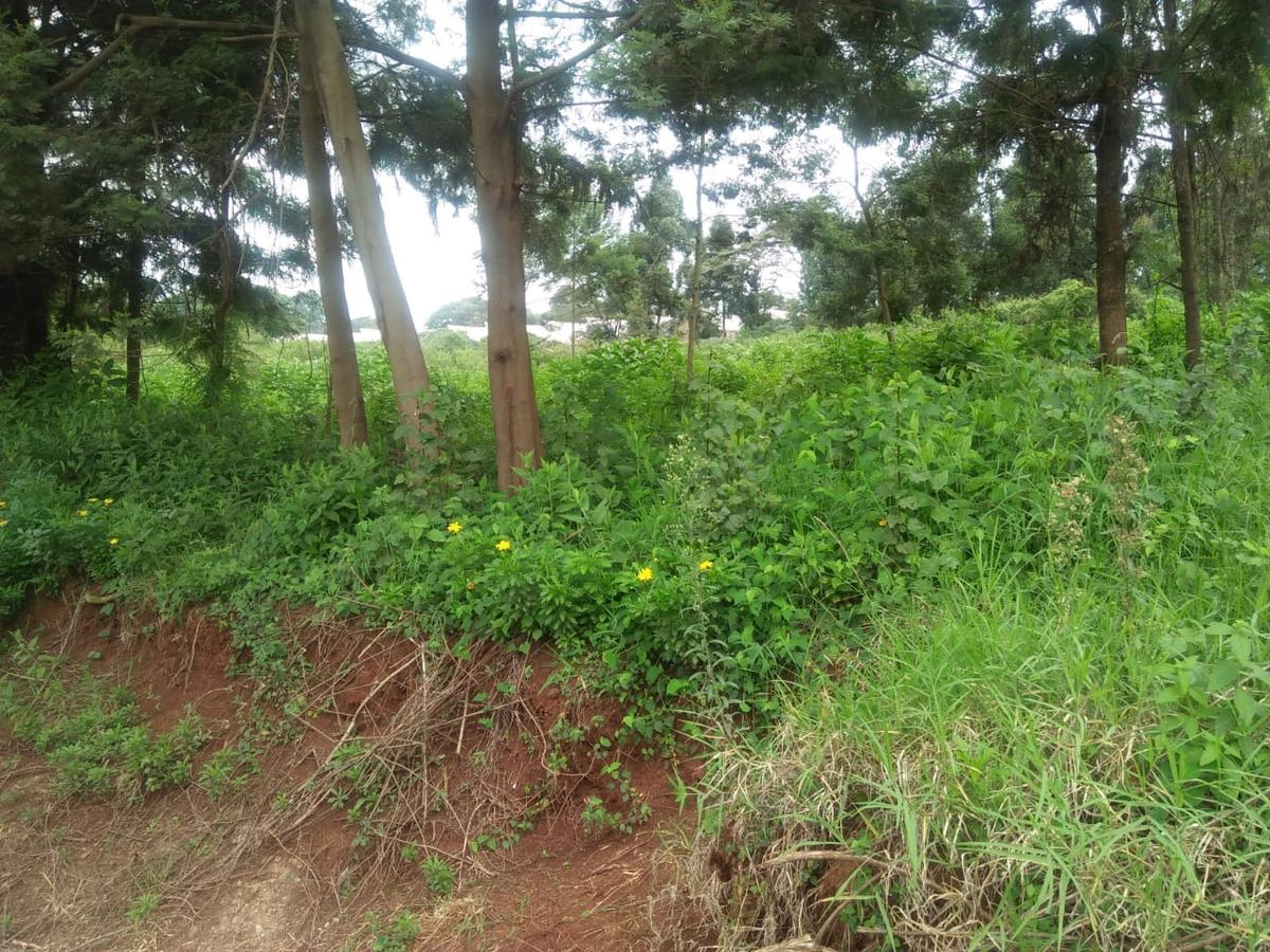 0.25 ac Residential Land at St. Julian Ack Center - 2