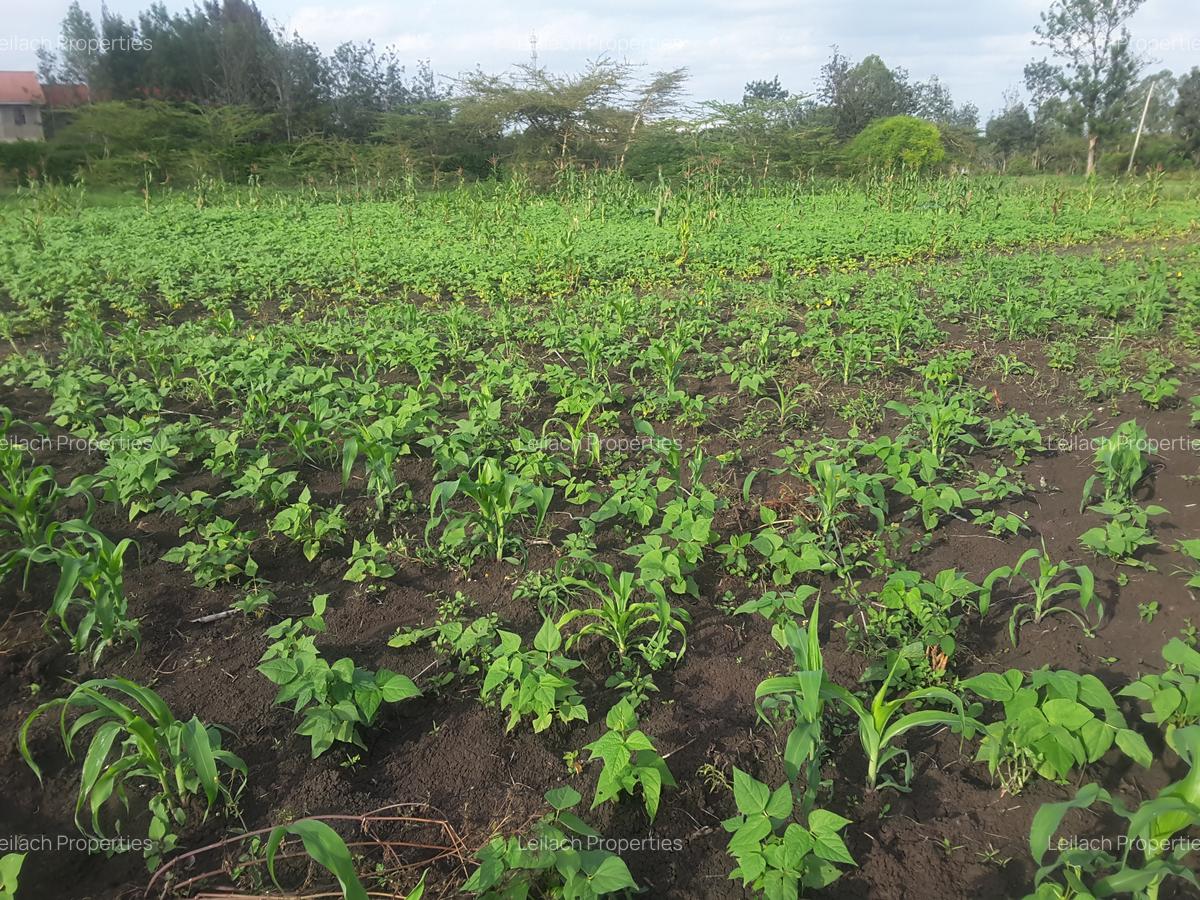 0.25 ac Residential Land in Ongata Rongai - 5