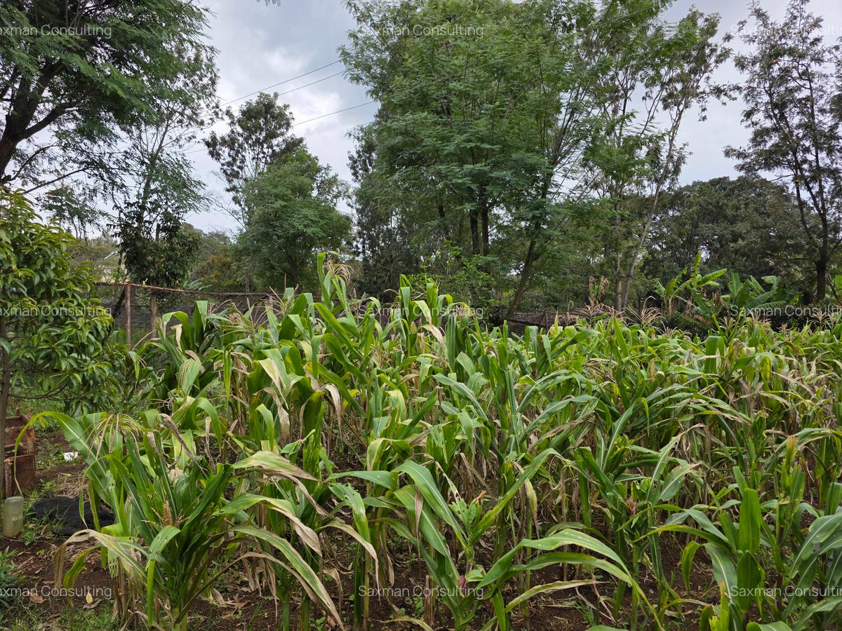 Residential Land in Karen - 8