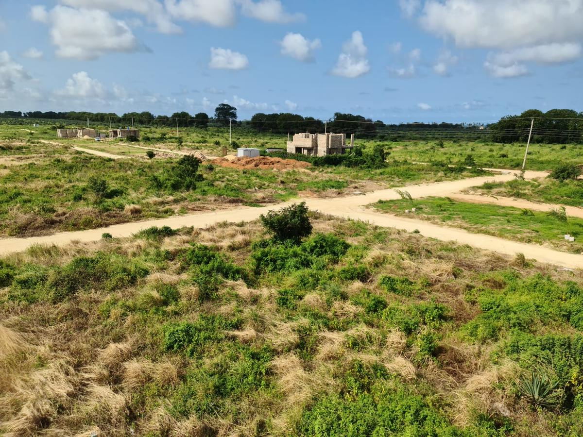 Land at Vipingo - 10