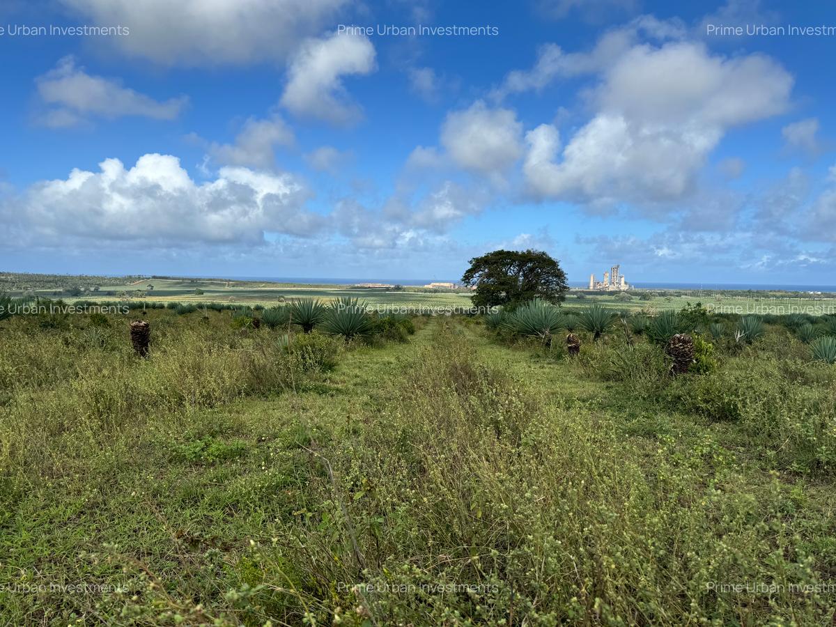 Land in Vipingo - 15