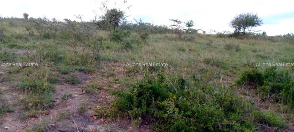 Land in Konza City - 7