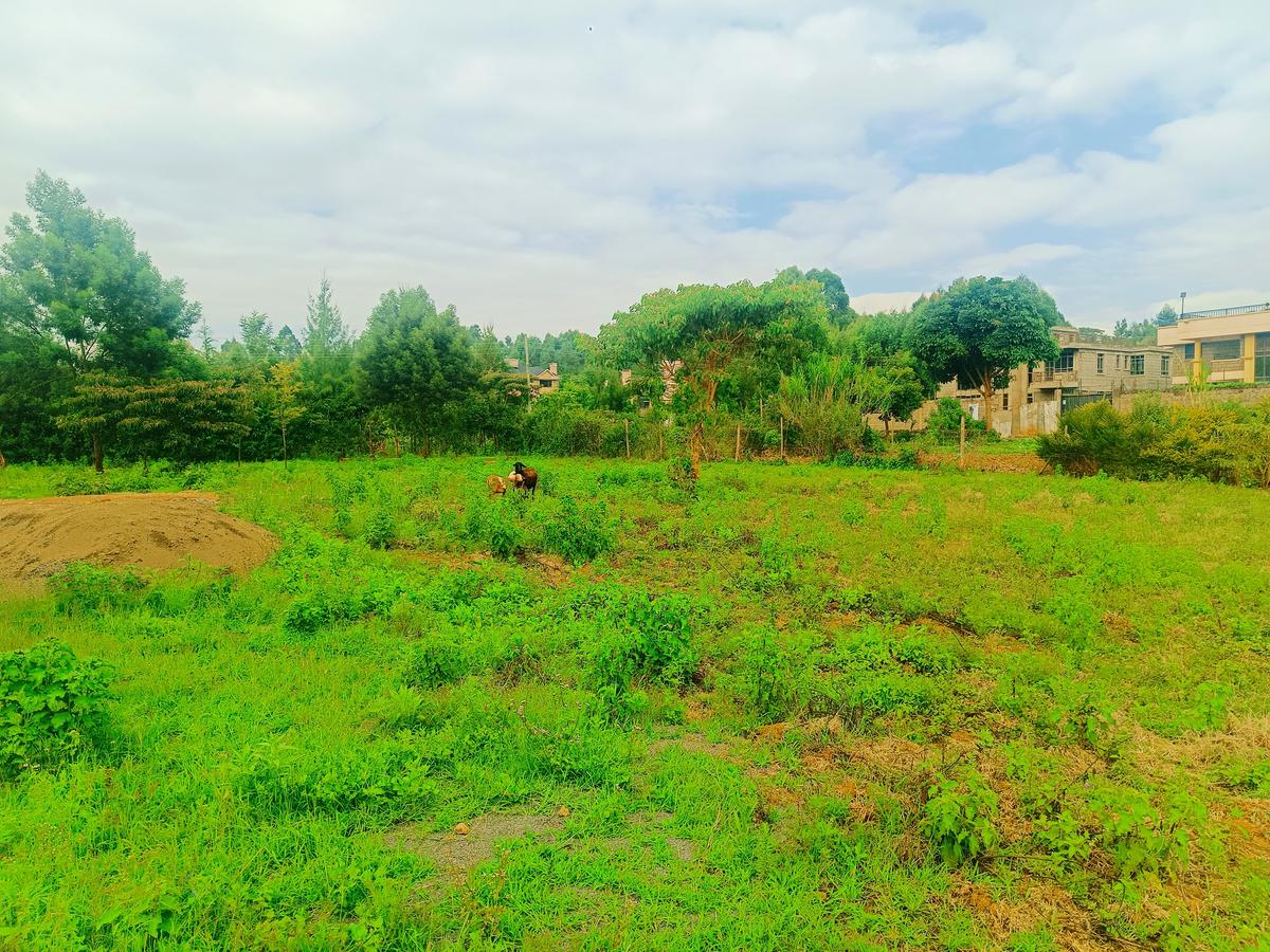 500 m² Residential Land at Jambu Tv Neighborhood - 6