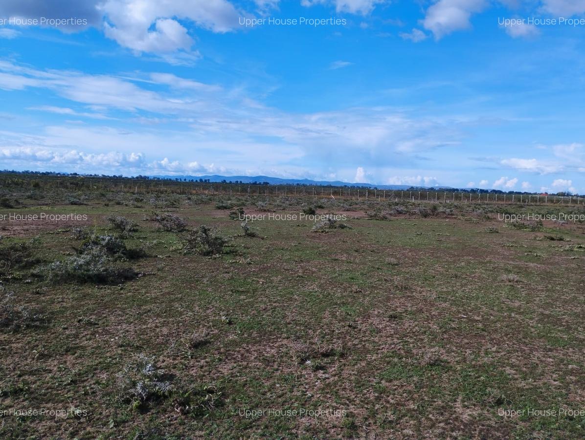 0.125 ac Land at Baraka - 2