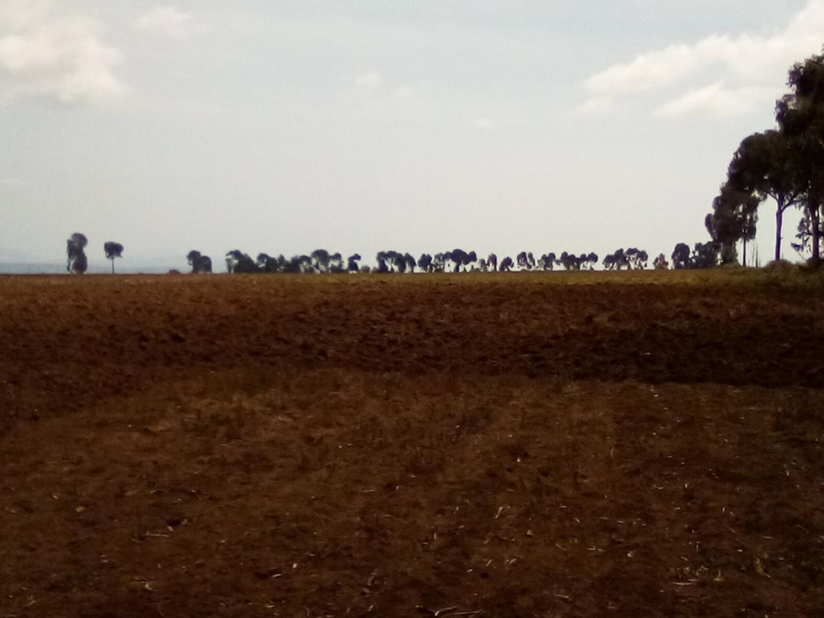 Land at Timau - 15