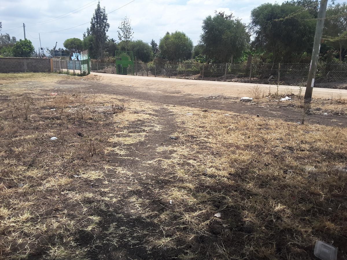 0.125 ac Residential Land in Ongata Rongai - 12