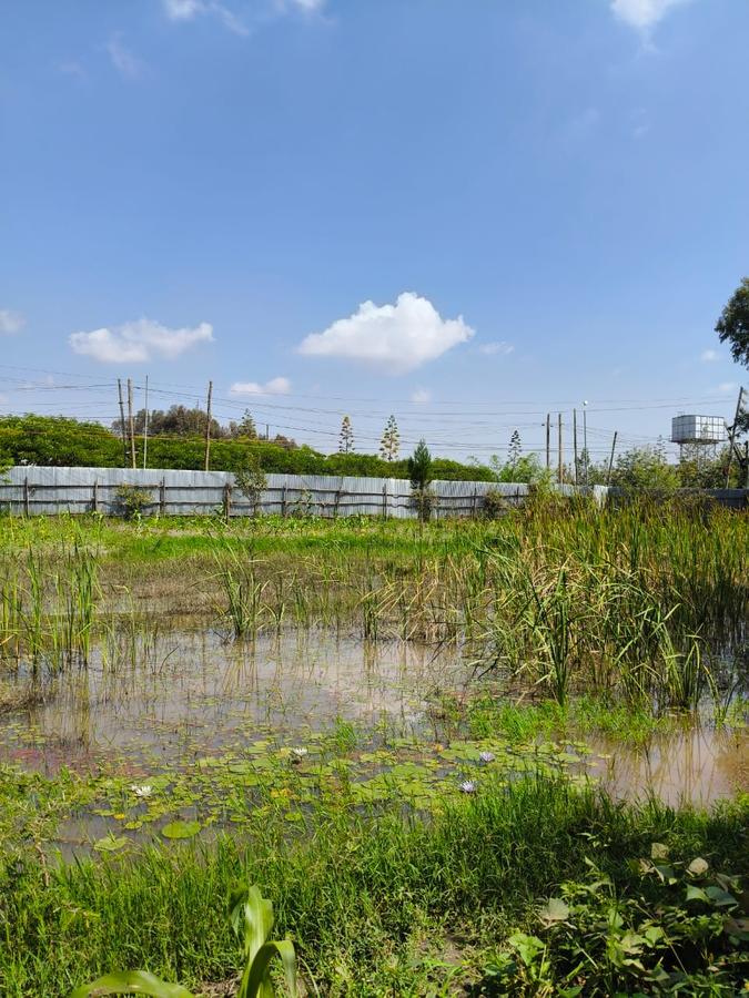 Residential Land at Karen - 16