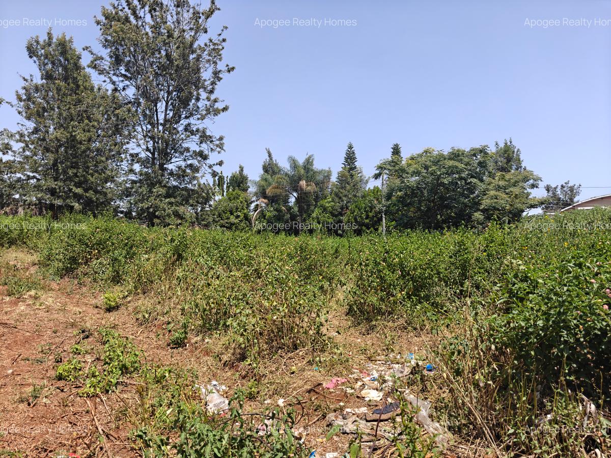 0.5 ac Land at Estate Road - 3