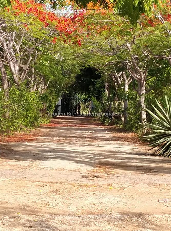 4 Bed Villa with En Suite in Bofa - 8