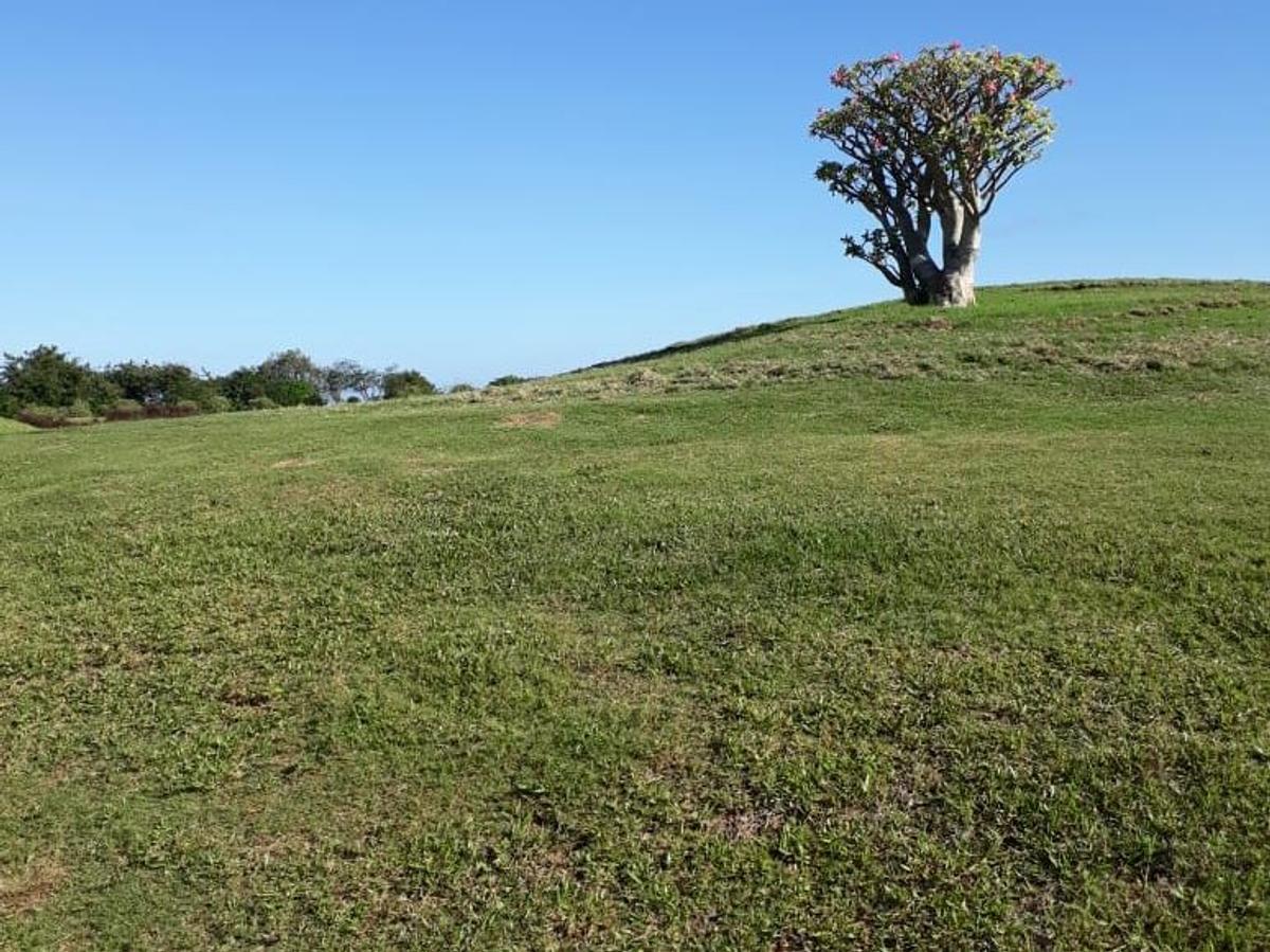 3,035 m² Land at Vipingo - 8