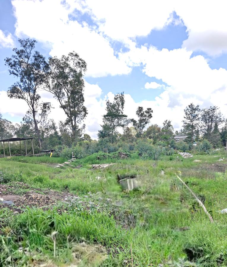 0.75 ac Land in Karen - 5