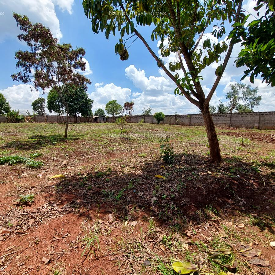 Residential Land at Flem Tree Off Ruaka Road - 19