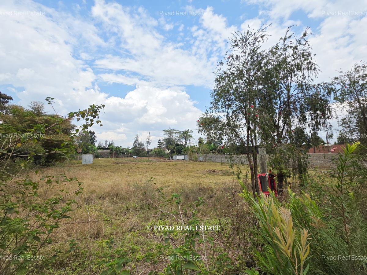 0.5 ac Land in Thome - 6