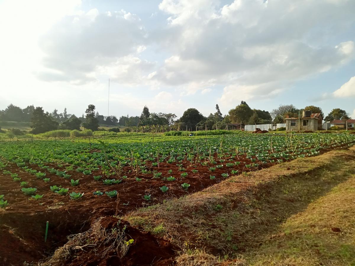 Residential Land in Tigoni - 8