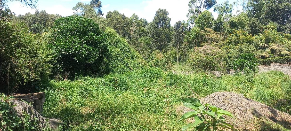 0.5 ac land at muthithi
