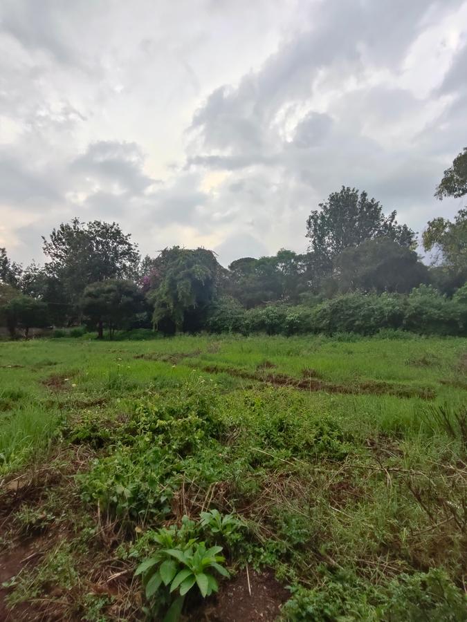 Residential Land at Ndege Road - 12