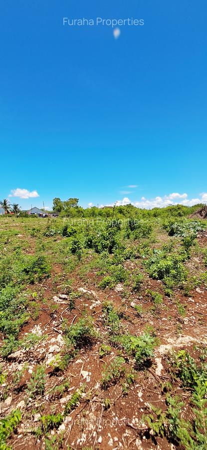 Land at Diani Beach - 18