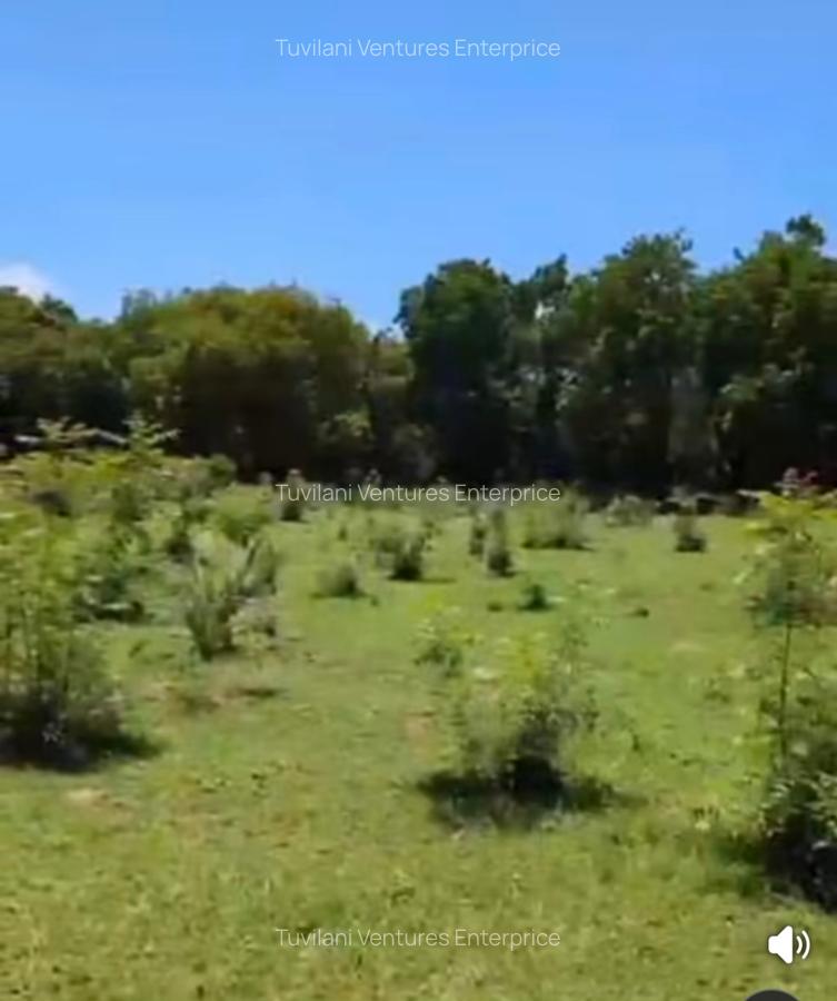 Land at Vipingo Kilifi - 7