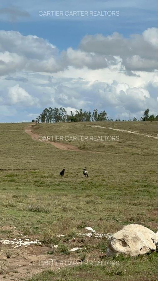 Land in Mombasa Road - 12