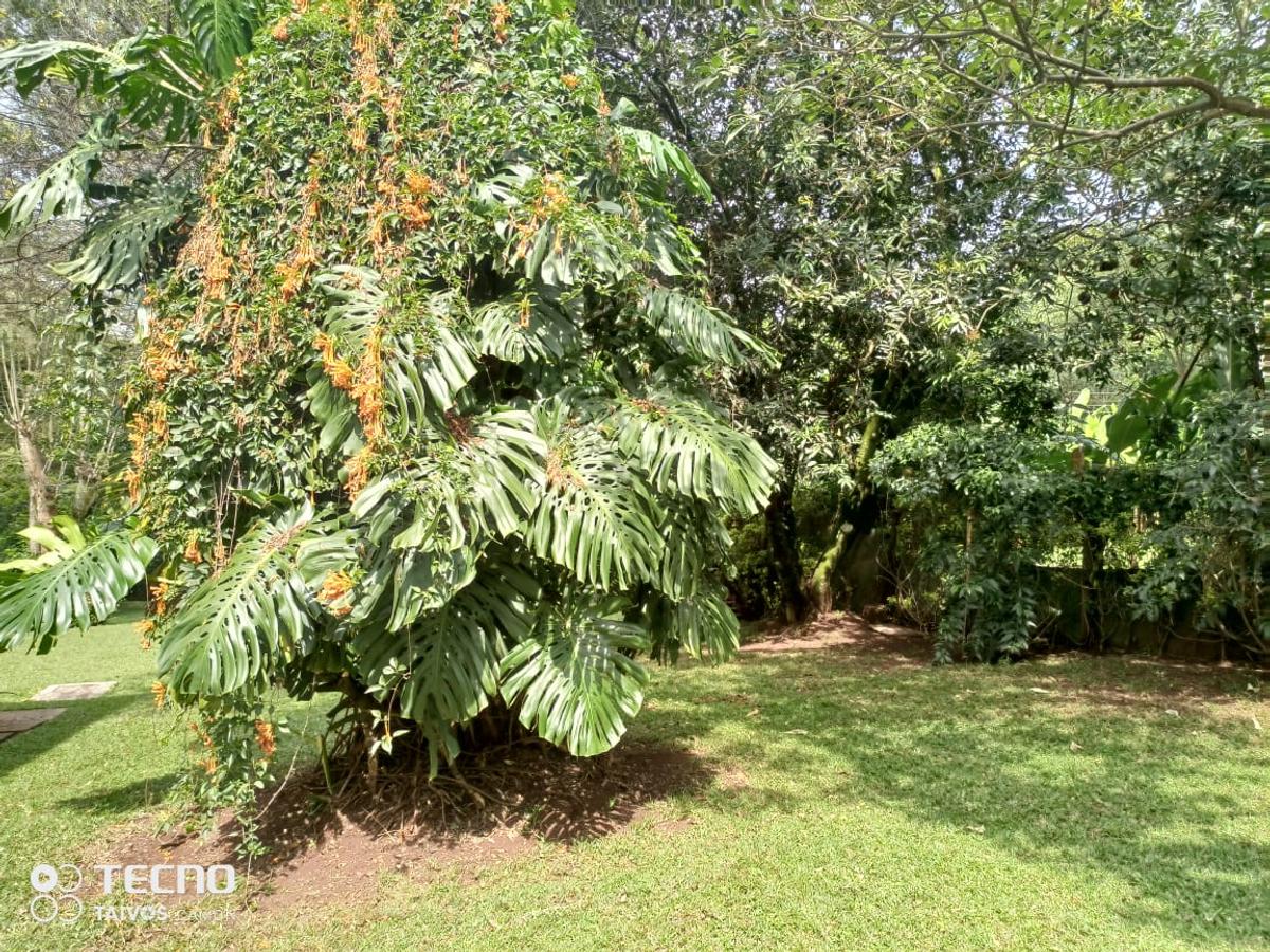 5 Bed Villa with En Suite in Rosslyn - 11