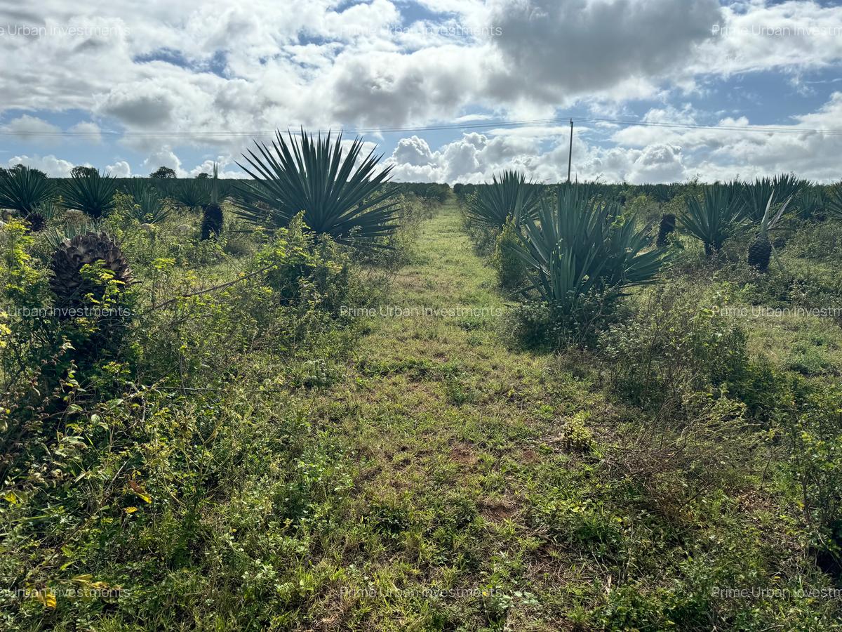 4,046.86 m² Land in Vipingo - 7