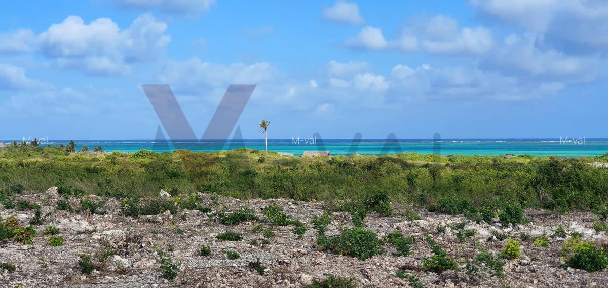 0.25 ac Land at Casaurina Watamu Road - 4