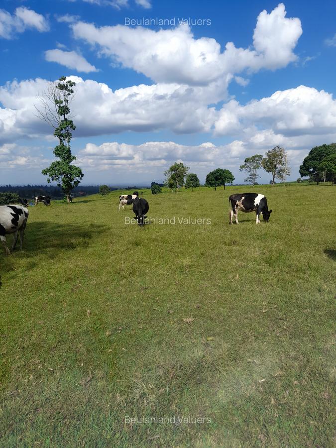 Land at Kiambu Road - 2