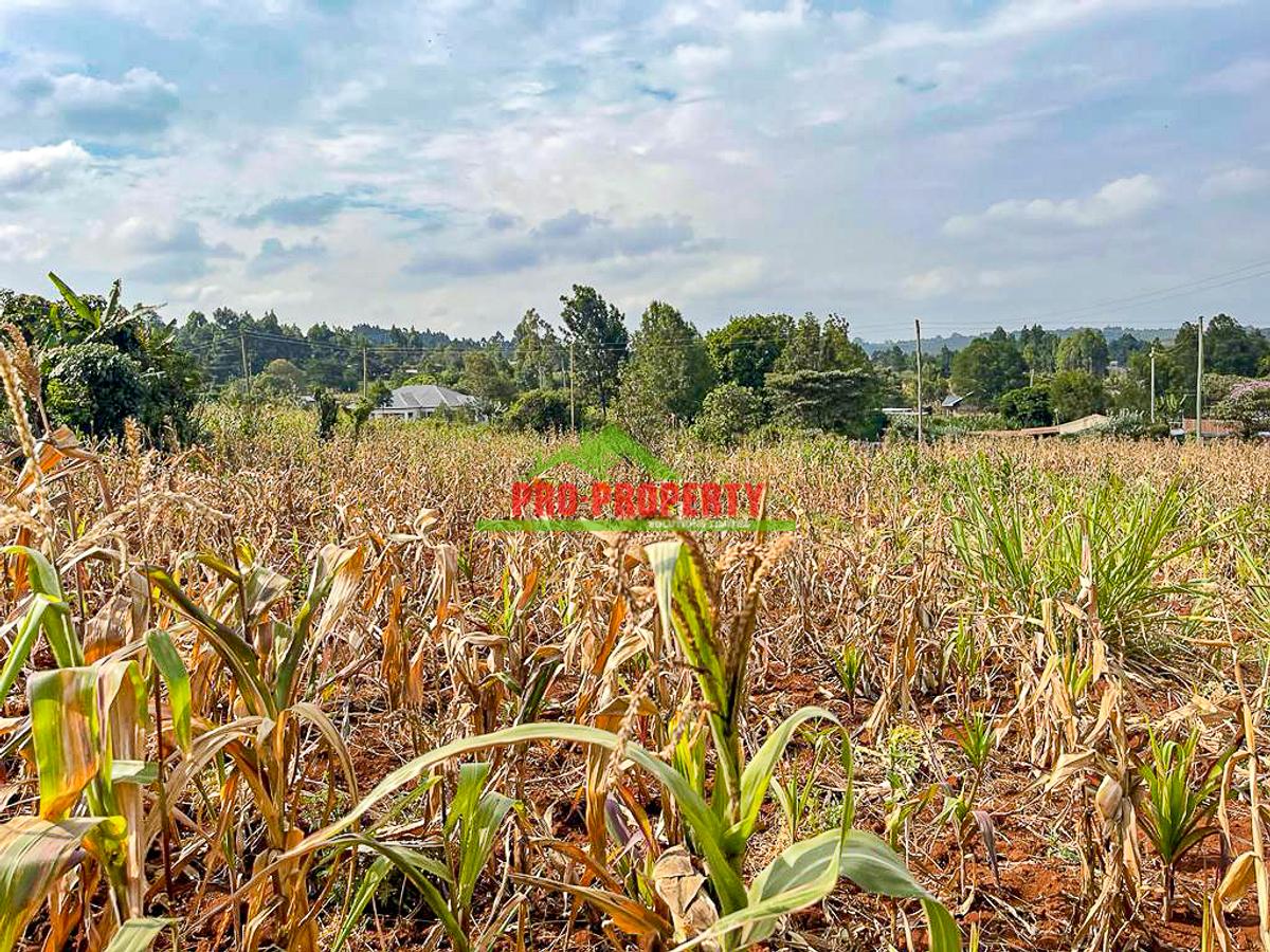 0.05 ha Residential Land in Kamangu - 4