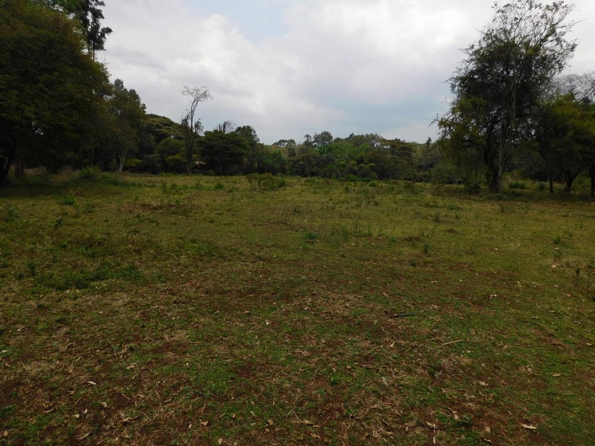 9 ac Land in Karen - 5