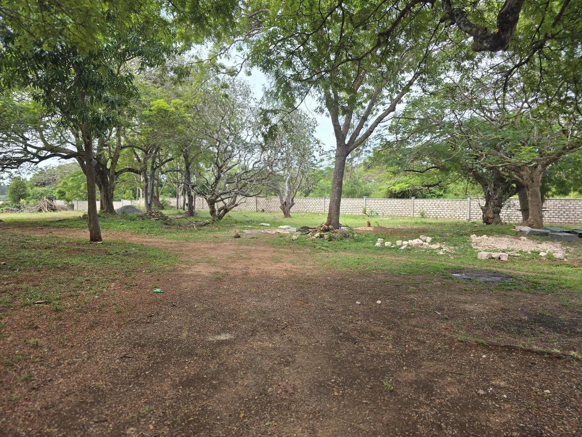 Commercial Land at Mt Kenya - 7