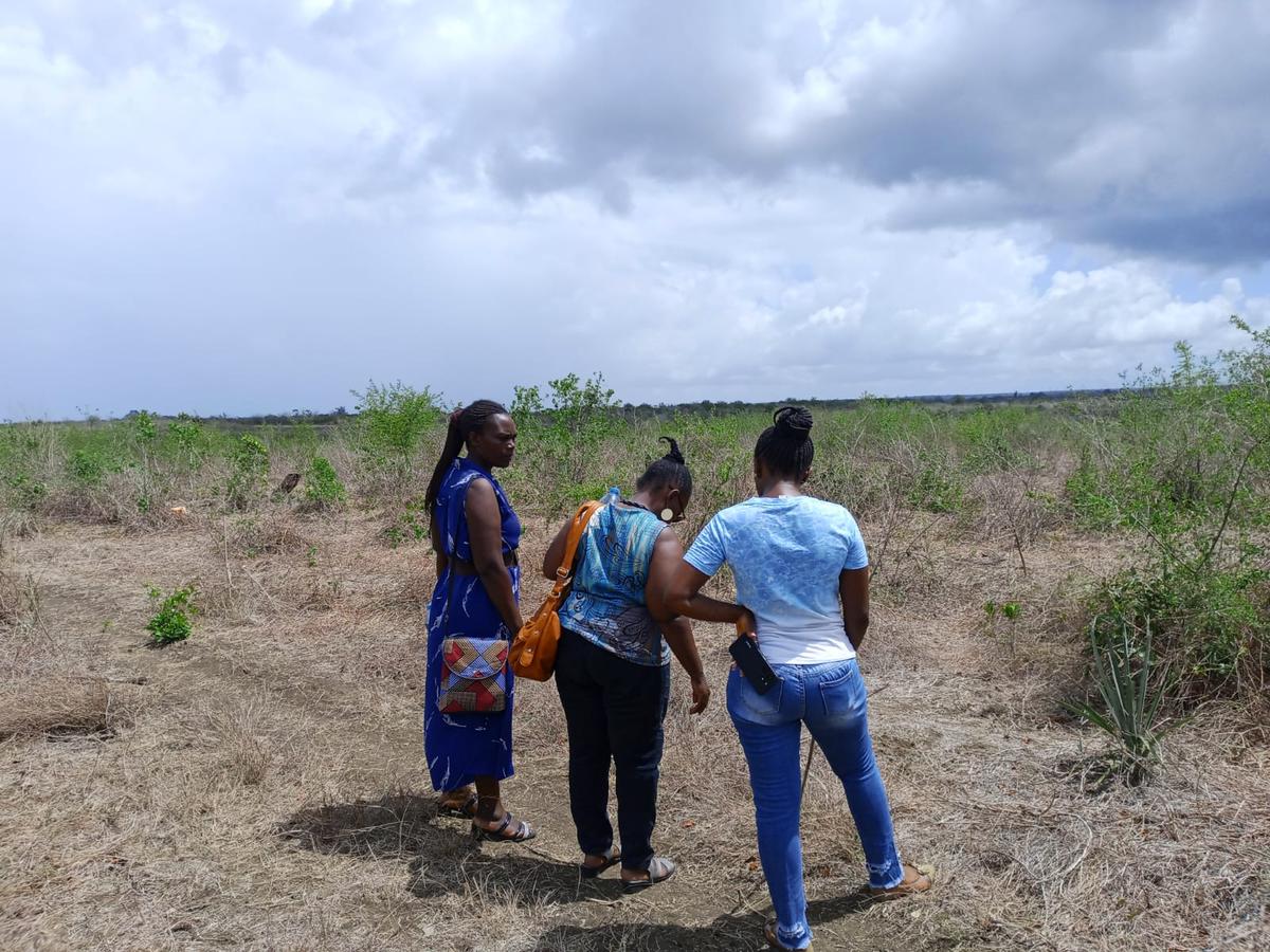 12 ha Land at Malindi -Lamu Highway - 2