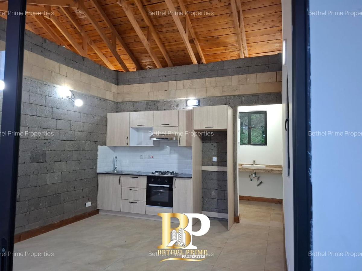 1 Bed Townhouse with En Suite in Spring Valley - 10
