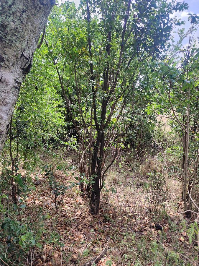 Residential Land at Hardy - 8