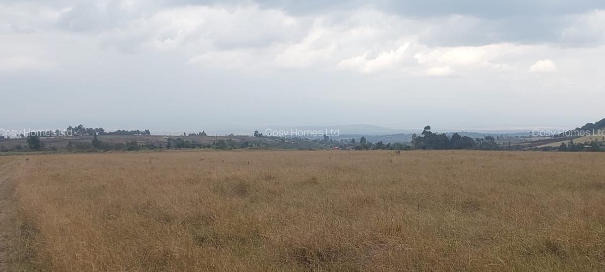 Land at Mwiyogo - 9