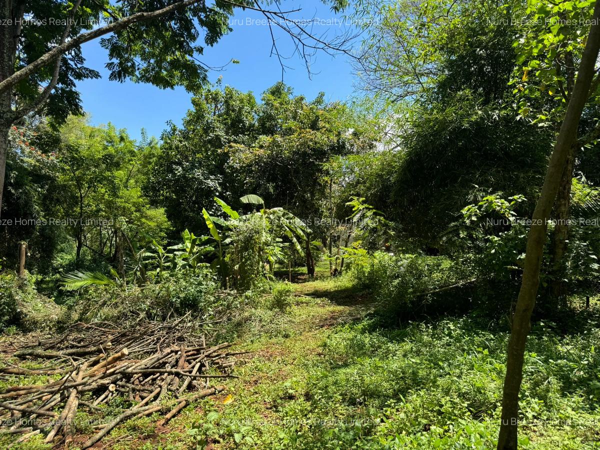 0.5 ac Residential Land in Kitisuru - 8
