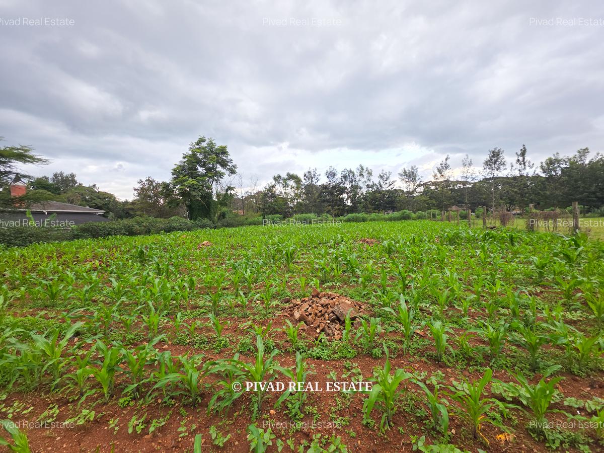 0.5 ac Land in Ridgeways - 5