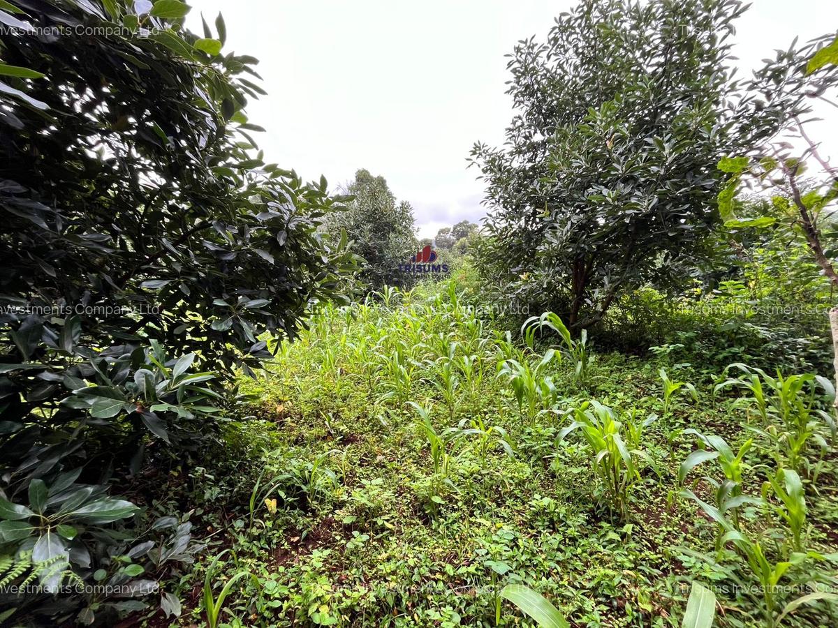 2.4 ac Land at Tigoni - 6