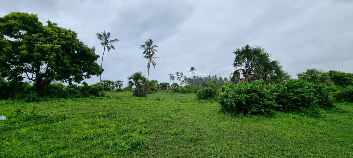 10 ac Land at Kikambala - 6