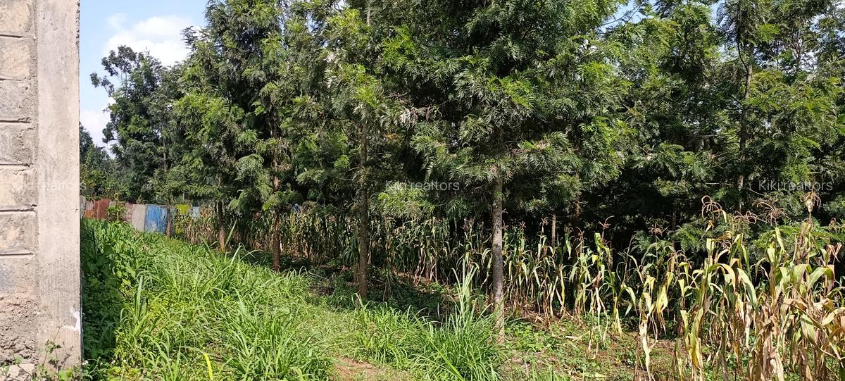 Residential Land in Kikuyu Town - 12