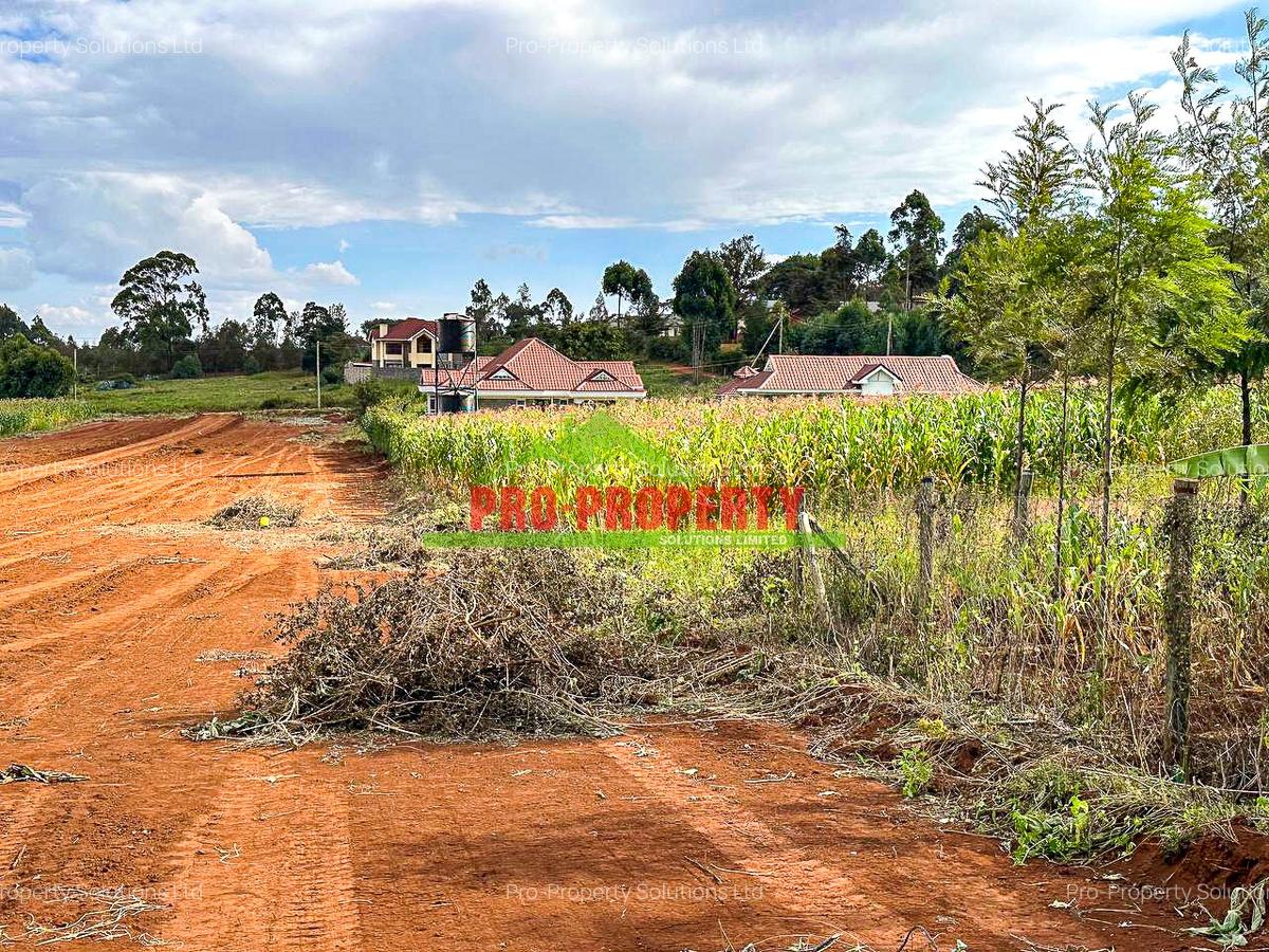 0.044 ha Residential Land at Ondiri - 10