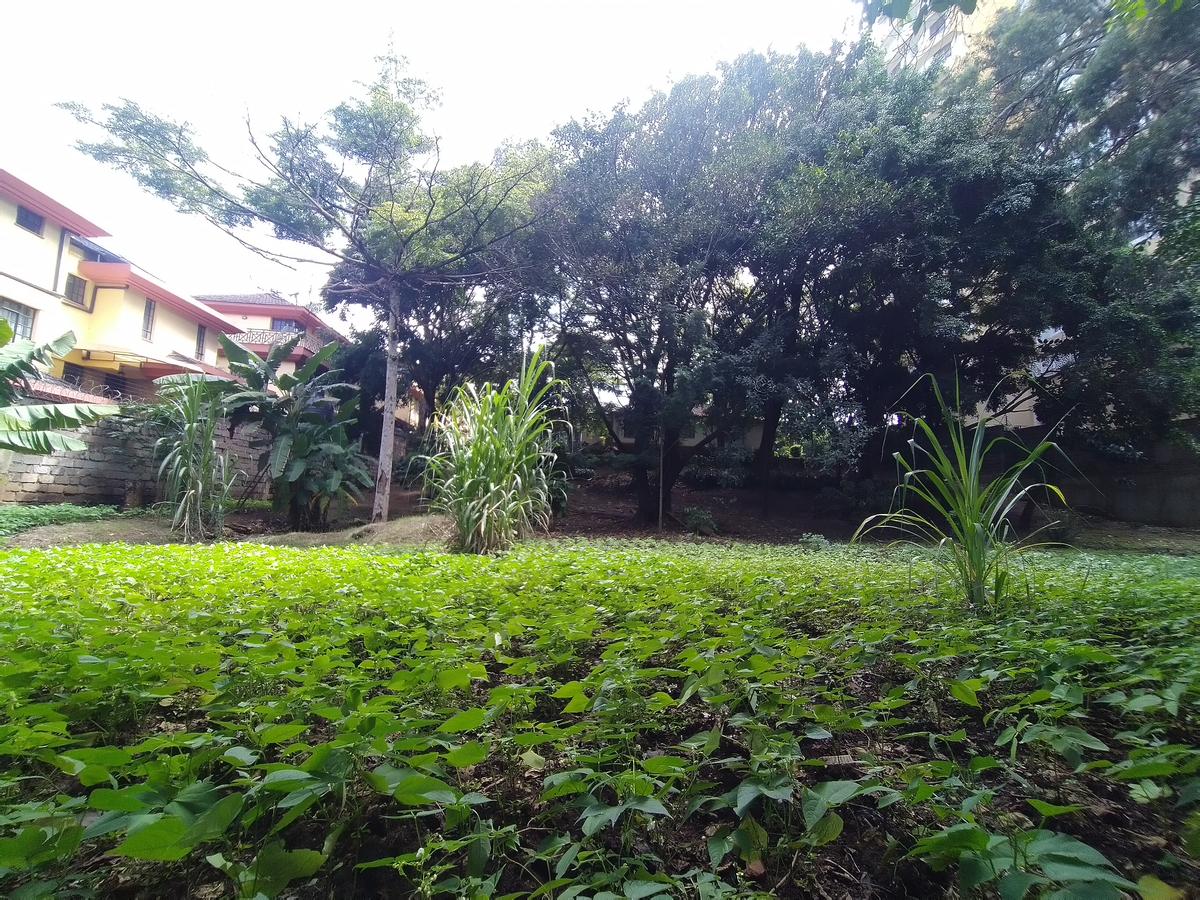 0.78 ac Residential Land in Riara Road - 4