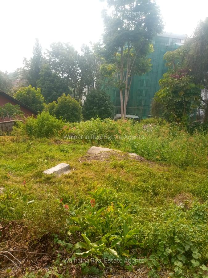 1 ac Land at Rapta Road - 3