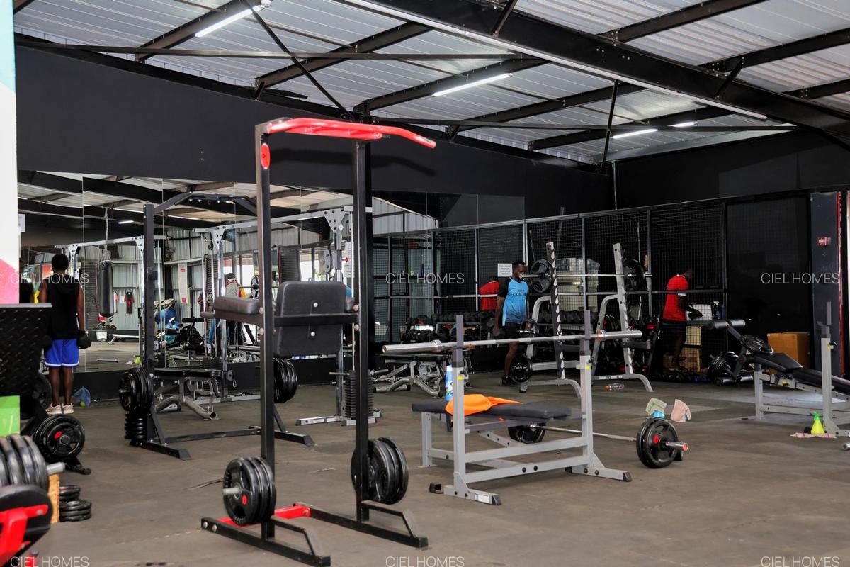 Serviced 2 Bed Apartment with En Suite in Tatu City - 14