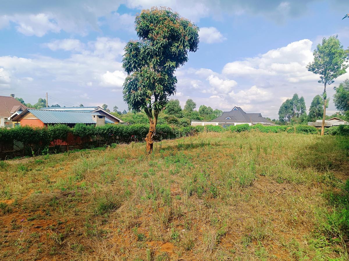 1,000 m² Residential Land at Karie - 1