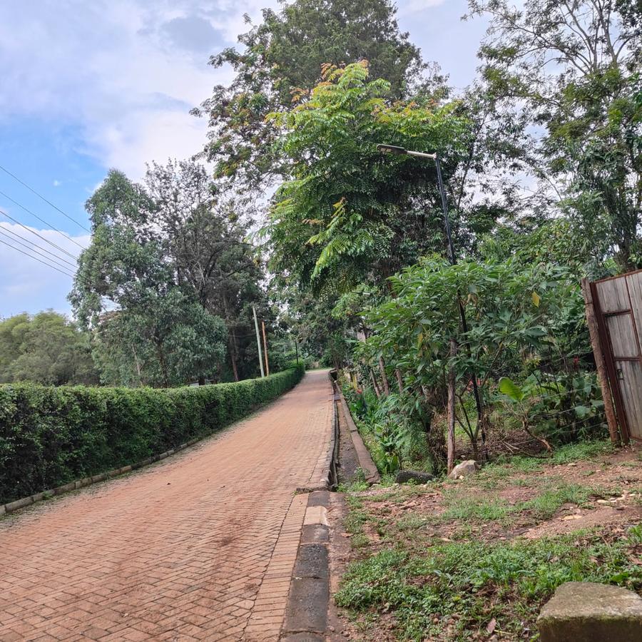 0.5 ac Land at Nandi Road - 6