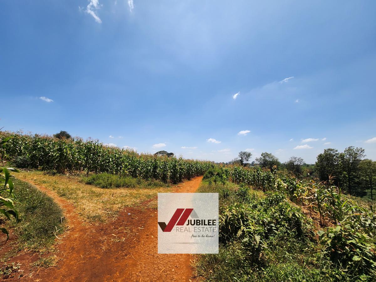 25 ac Land in Kitisuru - 5